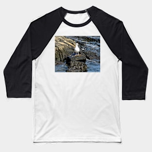 Seagull On A Rock Baseball T-Shirt